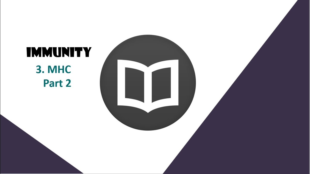 immunity Lecture 3 -Part 2 - MHC