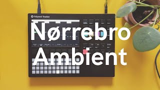 Famous Nørrebro Ambient (w/ Polyend Tracker, Chase Bliss Generation Loss MKII, Sonic Beds Vol. 1) Profile