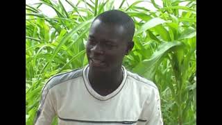 Download Lagu Inheritance Drama Mandinka. MP3 Download Lagu Inheritance Drama Mandinka. MP3