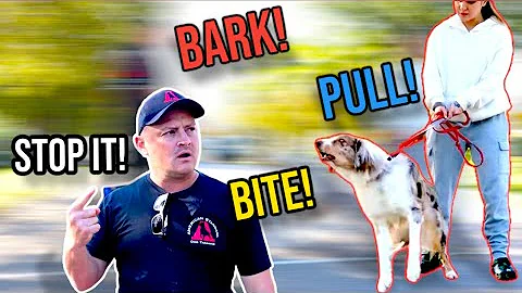 Stop Dog Barking Lunging & Pulling! TRANSFORMATION GUARANTEED