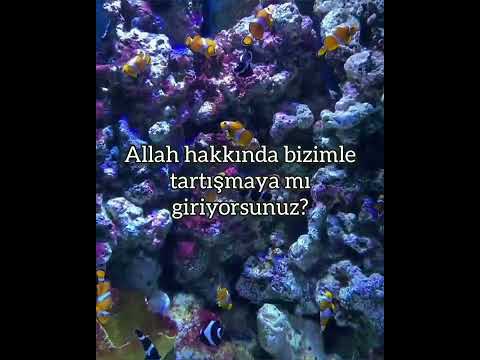 En kusursuz sanatçı Allah'tır... /Bakara suresi 138/139. #allah #islam  #religion #viral #shorts