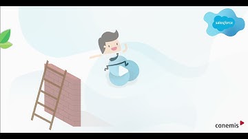 conemis - Accelerating Salesforce Migration with Automation