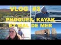 [VLOG] #3 PHOQUES, KAYAK ET MAL DE MER | CAM c'est elle