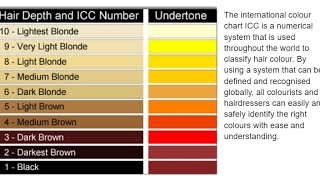 ICC(international colour chart)Chart and Undertone #new#colourtone 