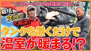 家庭菜園や農園の冬野菜栽培はタンクを置くだけで簡易ハウスが温室に！？12/5-12の栽培質問にもズバっと回答！/Answer questions about winter vegetables.