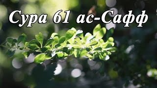 Сура 61 «ас-Сафф». Ряды. Али Калаев