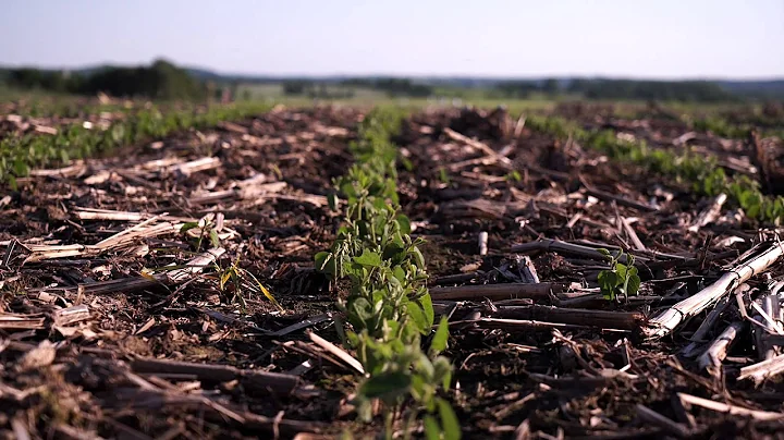 The 2015 Dairy Farm Sustainability Award