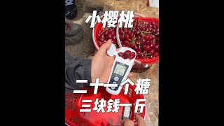 看看贵州毕节三块钱一斤的小樱桃，品质有多好 最好的小樱桃果农卖不掉，消费者买不到，全部烂在地里，真的非常可惜！这是我们这两次去的果园果农女儿的号@杨家湾樱桃园三妹 #樱桃 #樱桃🍒 #榴莲 #榴莲