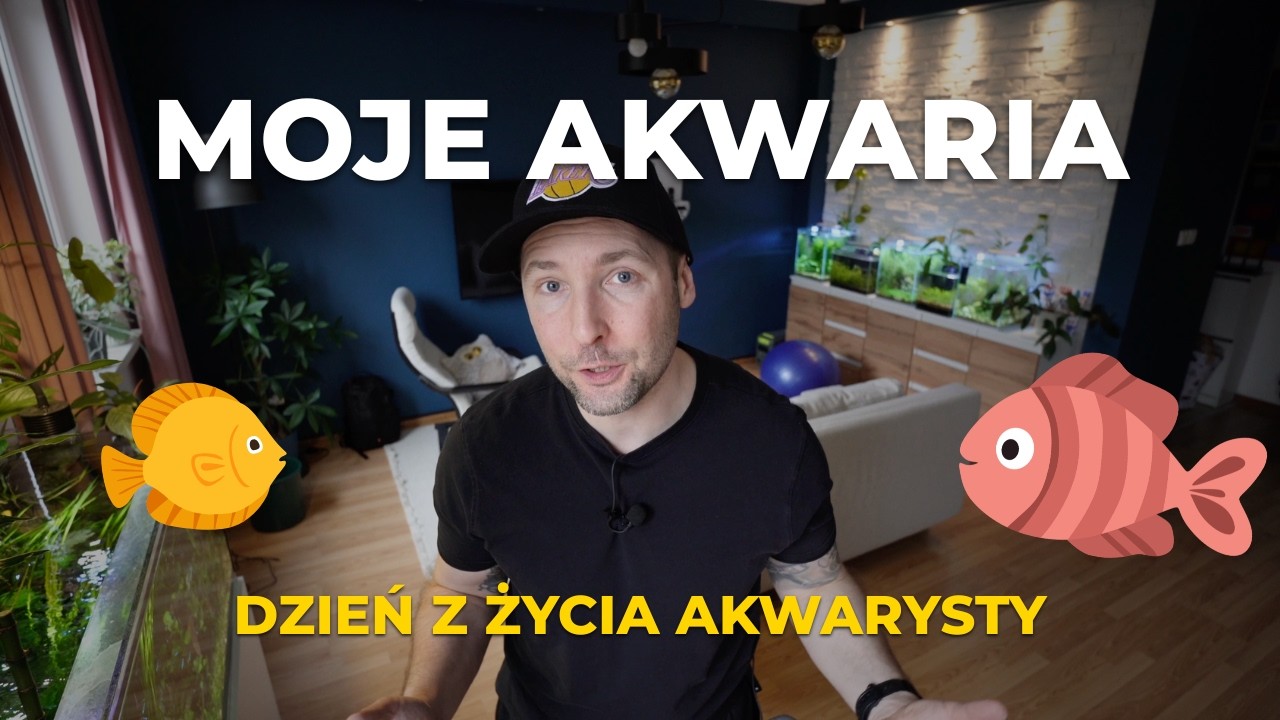 7 AKWARIÓW - jeden dzień na serwis! Jak dbać o rośliny i ryby bez większego wysiłku - Moje sposoby!