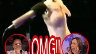 Top five(5) best auditions animals America's Got talent