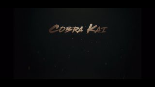 Hawk Vs Brucks Fight Scene 4K 60Fps Cobra Kai Season 3 1