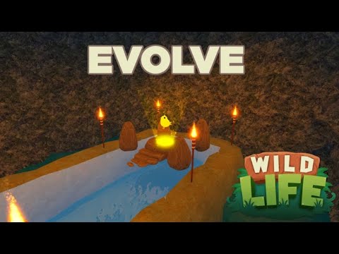 Getting Level 999 999 999 Animal In Roblox Wild Life Simulator Beta Youtube - roblox wild life simulator