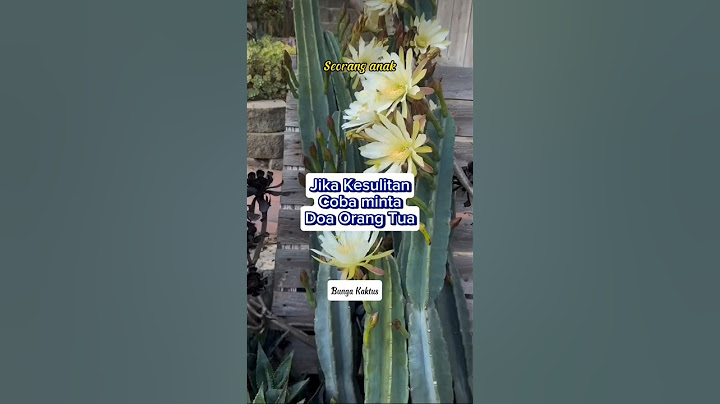 Parents' Prayers are Answered #sermon #ustadzadihidayat #uah #motivation #view #flowers #cactus