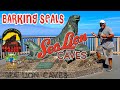 Sea Lions Caves, Meat-Eating Plants, Camping FAIL &amp; Casino WIN!