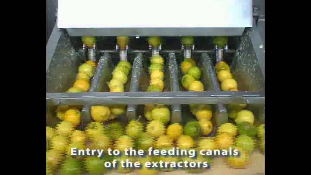 TRIOWIN Citrus concentrate juice processing LineCitrus juice