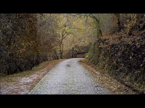 Tracy Chapman - The Promise