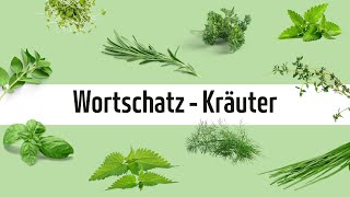 Learn German - Vocabulary: Herbs