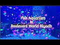 Boulevard world riyadh  fish aquarium  riyadh season 2024
