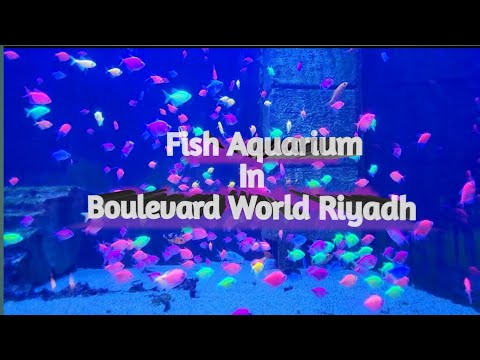 Boulevard World Riyadh | Fish Aquarium | Riyadh season |2024|