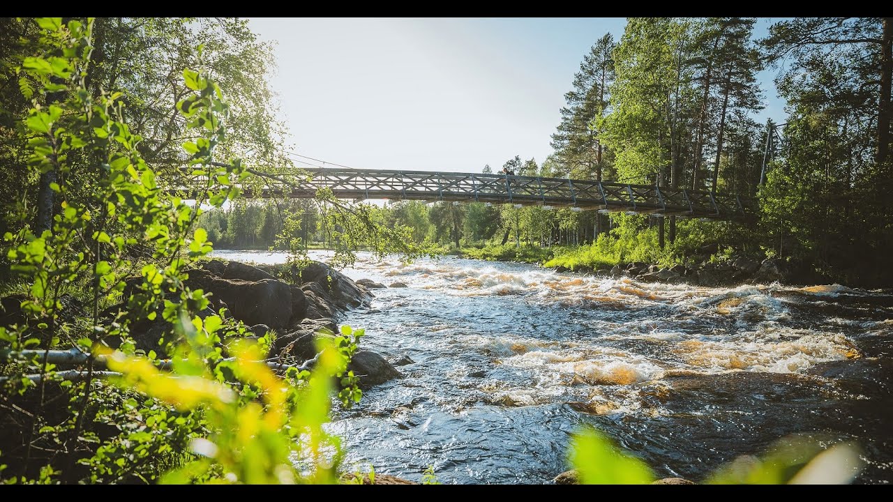 Arctic Circle Hiking Area in Rovaniemi: Vikaköngäs & Vaattunkiköngas - Napapiirin retkeilyalue