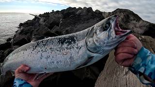 I Tried Catching Salmon Early... Look What I Got!