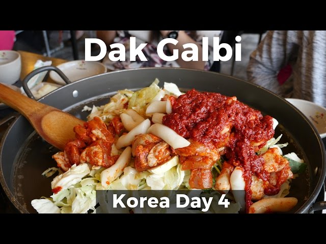 Giant Dak Galbi & Day Trip to Nami Island (Day 4) | Mark Wiens