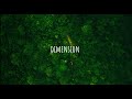 Fully Focus  ft Bien Dimension(video lyrics)