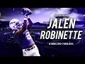 NFL Draft Sleeper - Air Force WR Jalen Robinette || 2016-17 Highlights