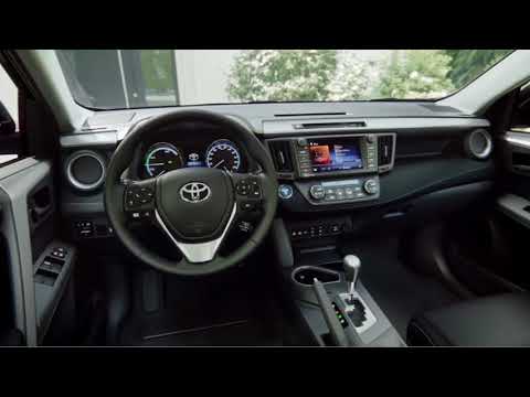 შექმნილია ყურადღების ცენტრში ყოფნისთვის