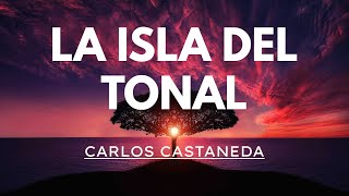 QUÉ ES EL TONAL, explicado por Don Juan Matus | Carlos Castaneda | Español latino, voz humana
