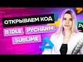 Что делать, если на ЕГЭ попался не PyСharm | Информатика Умскул