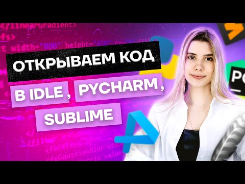 Видео: Что делать, если на ЕГЭ попался не PyСharm | Информатика Умскул