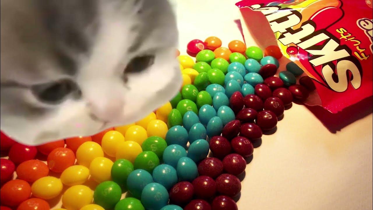 maxresdefault.jpg