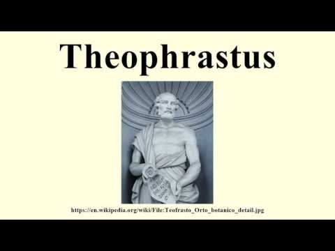 Video: Theophrastus Taubane