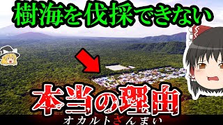 【謎】なぜ「日本最凶の森」樹海を伐採できないのか？【ゆっくり解説】