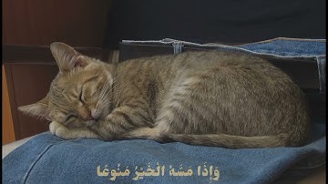 ﴿إن الإنسان خُلق هلوعا ﴾ تلاوة هادئه من سورة المعارج بصوت القارئ الشيخ محمود علي البنا.