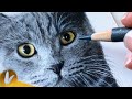 How To Draw Fur With Colored Pencils For Beginners | Fur Drawing Tutorial