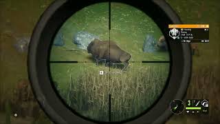 COTW Casual Day of Hunting June 6, 2024