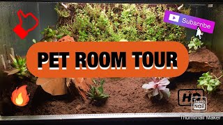 Pet Room Tour October 2020!
