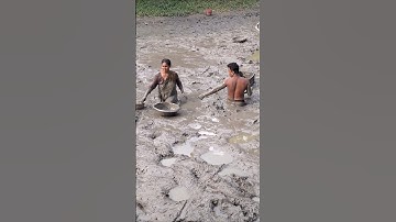 Amazing village woman catching huge catfish by hand in deep Mudd #fishing #catfish #fish #shorts