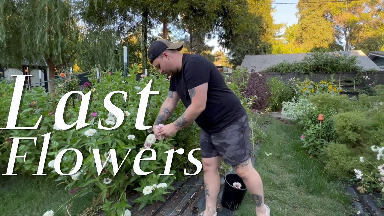 The very last flowers for friends 🌻 Visit Our Garden YouTube