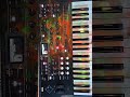 Korg Wavestate MKII  | Sound Test | MM Phase Walker | Klangwelten