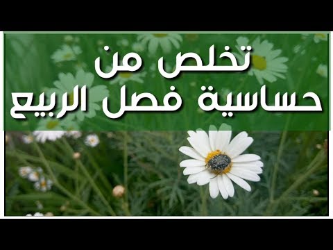 فيديو: نباتات الربيع لتجنب الحساسية - النباتات الشائعة التي تسبب الحساسية الربيعية