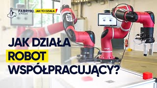 Jak to działa: Robot Współpracujący - Fabryki w Polsce