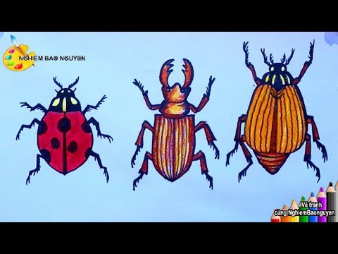 Vẽ một số Bọ cánh cứng đơn giản/How to draw Beetles - YouTube