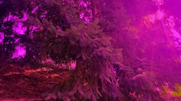 Conscious Sleeper ￼- Chill Ambient Music - Semi Generative miRack Eurorack Jam!￼