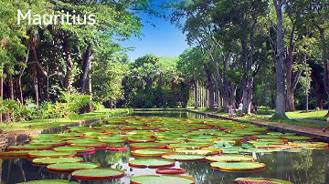 Fritidsresor, Mauritius - Auto Stereoscopic 3D by WIZZCOM (presented in 2D)