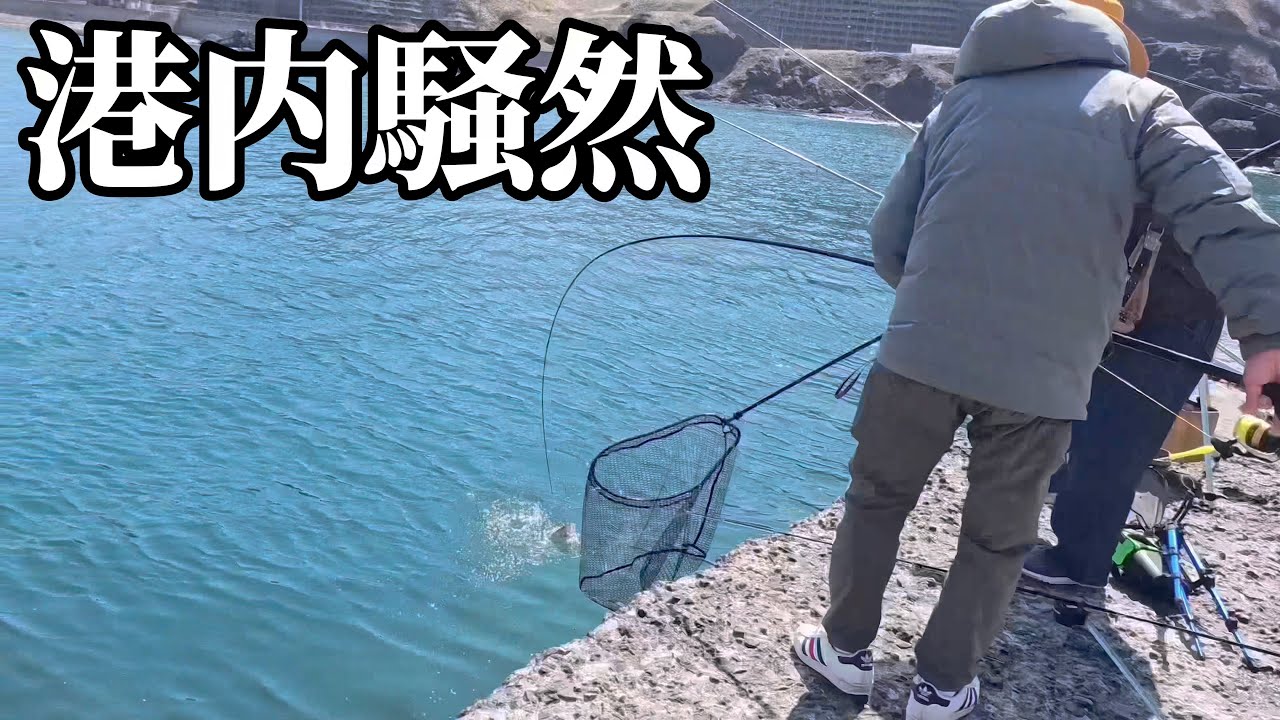 【北海道】【釣り】大爆釣に港内激震‼️衝撃のラスト2分にとんでもない大物が、、、。