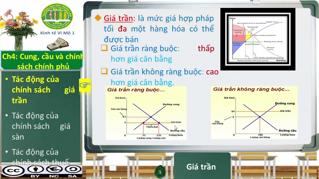Chương 4: Cung, cầu và chính sách của chính phủ