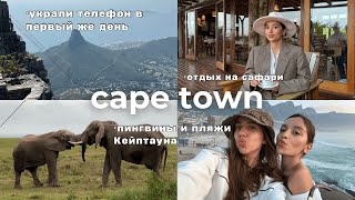 видео: VLOG: Улетели с подругой в Кейптаун l первый в жизни сафари l безопасно ли на краю света? картинка: VLOG: Улетели с подругой в Кейптаун l первый в жизни сафари l безопасно ли на краю света?